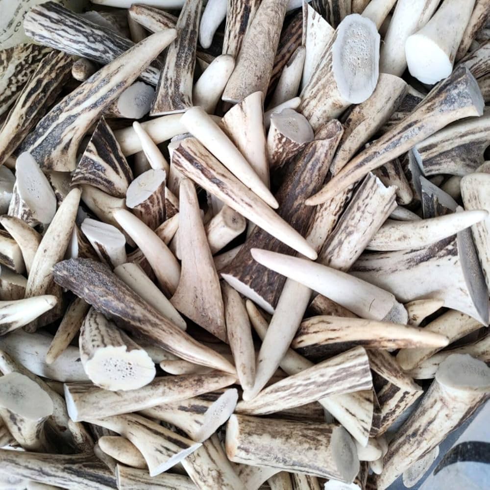 鹿の角　エゾシカ　角　【先端セット】　5kg 端材　アクセサリー　パーツ　素材 Amazon.co.jp: 鹿の角 エゾシカ 角 先端詰合わせ 1kg 端材